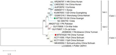 Identification of Two New Isolates of Chilli veinal mottle virus From Different Regions in China: Molecular Diversity, Phylogenetic and Recombination Analysis